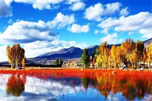 雙凱智能：說走就走旅行？有TA更輕松